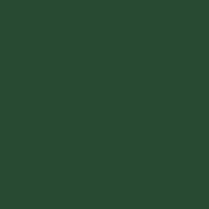 Jungle Green Solid Color Twin Comforter 