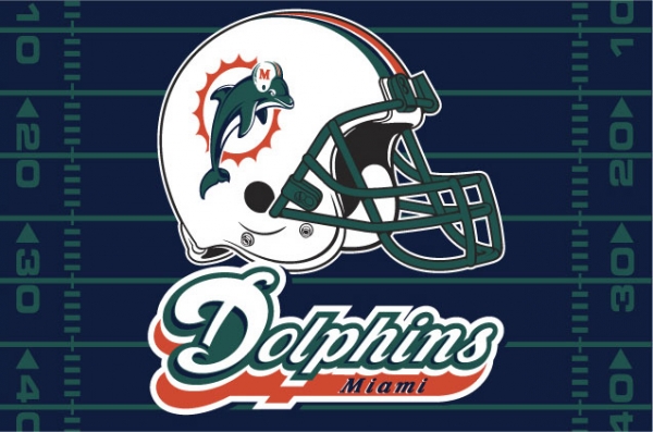 Miami Dolphins NFL 39" x 59" Tufted Rug