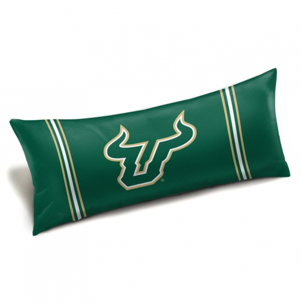 Northwest NFL 2 Piece Sweet Home Fan Throw Pillow Cover 18