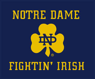 Notre Dame Room Decor Notre Dame Room Decor