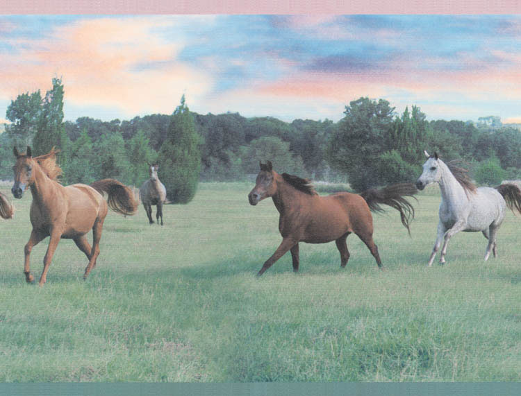 Wild Horses Wall Border
