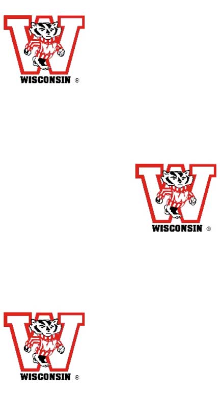 Wisconsin Badgers Logo Wallpaper