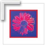 Warhol Daisy, Blue and Red - Framed Canvas
