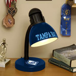Tampa Bay Devil Rays MLB Desk Lamp