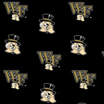 Wake Forest Demon Deacons Crib Bumpers - Black