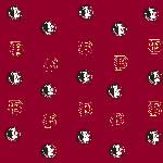 Florida State FSU Seminoles Crib Bumpers - Red -- FSU
