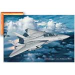 Grumman F-14 A Tomcat Plus Print Only