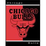Chicago Bulls 60" x 80" All-Star Collection Blanket / Throw