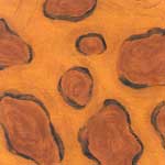Jungle Jive Pillow Case - Orange Spot