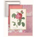 Shabby Chic Rose I - Framed Canvas