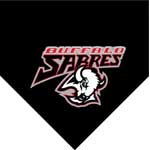 Buffalo Sabres 60" x 50" Team Fleece Blanket / Throw