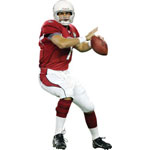 Matt Leinart Fathead NFL Wall Graphic