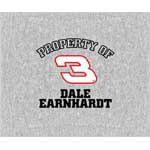#3 Dale Earnhardt Sr. 58" x 48" "Property Of" Blanket / Throw
