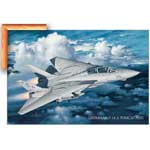 Grumman F-14 A Tomcat Plus - Canvas