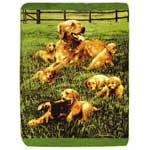 Golden Retriever Family Blanket/Throw
