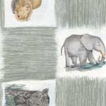 Animal Kingdom Cord Edge Style Sham - Squares