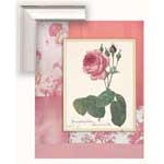 Shabby Chic Rose II - Contemporary mount print with beveled edge