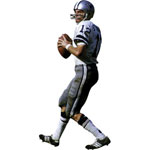 Roger Staubach Fathead NFL Wall Graphic