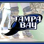 Tampa Bay Devil Rays MLB Wall Border