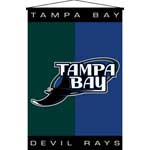 Tampa Bay Devil Rays 29" x 45" Deluxe Wallhanging