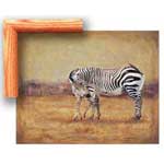 Zebra Family - Contemporary mount print with beveled edge