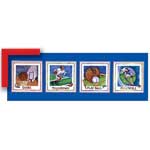 Sports Combo - Contemporary mount print with beveled edge
