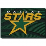 Dallas Stars NHL 20" x 30" Tufted Rug