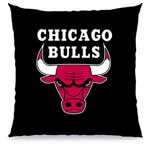 Chicago Bulls 18" Toss Pillow