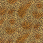 Serenghetti Top Sheet - Leo Dot