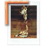 Giraffe Kiss - Makulu - Contemporary mount print with beveled edge
