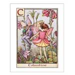 Columbine Fairy - Contemporary mount print with beveled edge