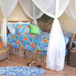 Twin Comforter and 1 Sham