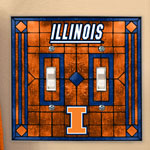 Illinois Illini NCAA College Art Glass Double Light Switch Plate Cover