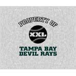 Tampa Bay Devil Rays 58" x 48" "Property Of" Blanket / Throw