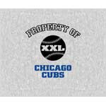Chicago Cubs 58" x 48" "Property Of" Blanket / Throw