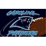 Carolina Panthers NFL 20" x 30" Tufted Rug