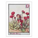 Double Daisy Fairy - Contemporary mount print with beveled edge