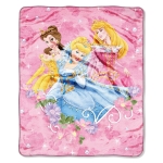 Princess Jewels and Flowers Entertainment 50" x 60" Micro Raschel Throw