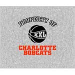 Charlotte Bobcats 58" x 48" "Property Of" Blanket / Throw