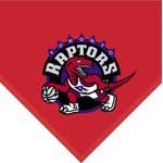 Toronto Raptors 60" x 50" Team Fleece Blanket / Throw