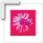 Warhol Daisy, Crimson and Pink - Contemporary mount print with beveled edge