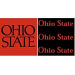 Ohio State Buckeyes 6" Tall Wallpaper Border