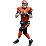 Carson Palmer Fathead NFL Wall Graphic