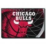 Chicago Bulls NBA 39" x 59" Tufted Rug