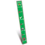 Ohio State University Wooden Growth Chart