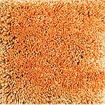 Shaggy Mandarin Orange Rug (31" x 31")