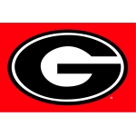 Georgia Bulldogs NCAA College 39" x 59" Acrylic Tufted Rug