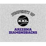 Arizona Diamondbacks 58" x 48" "Property Of" Blanket / Throw