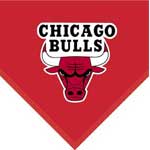 Chicago Bulls 60" x 50" Team Fleece Blanket / Throw