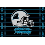 Carolina Panthers NFL 39" x 59" Tufted Rug